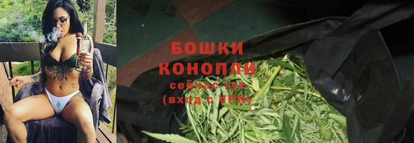 PSILOCYBIN Алзамай