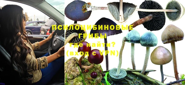 PSILOCYBIN Алзамай